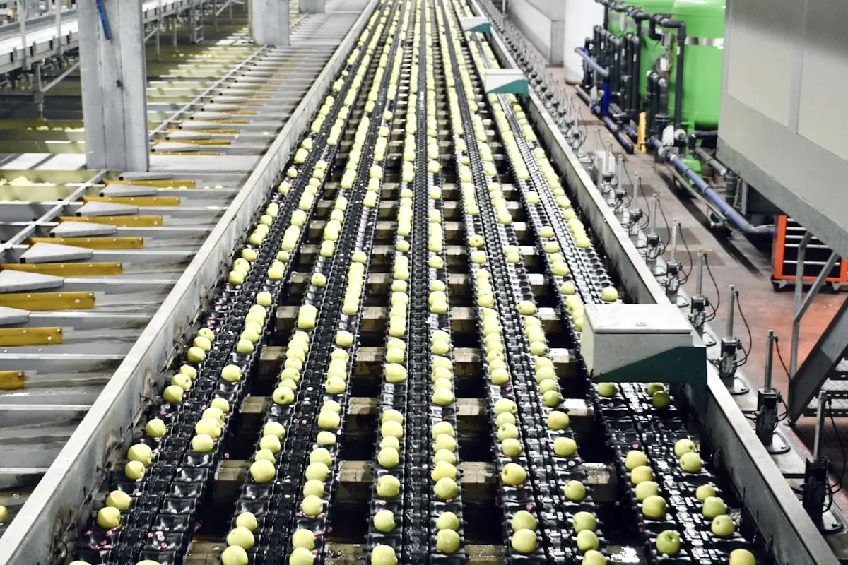 Quality & Food Safety