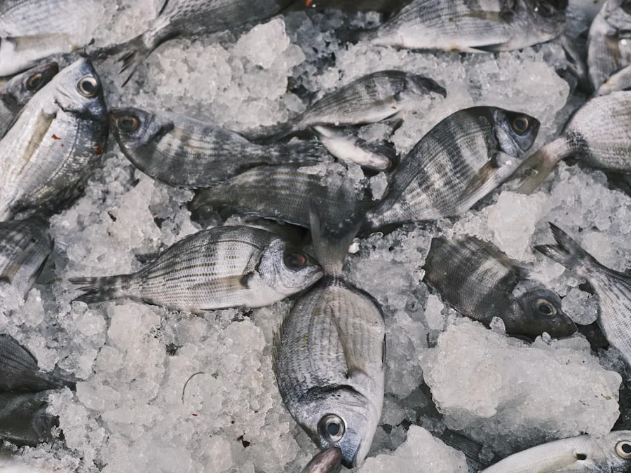 Frozen Seafood