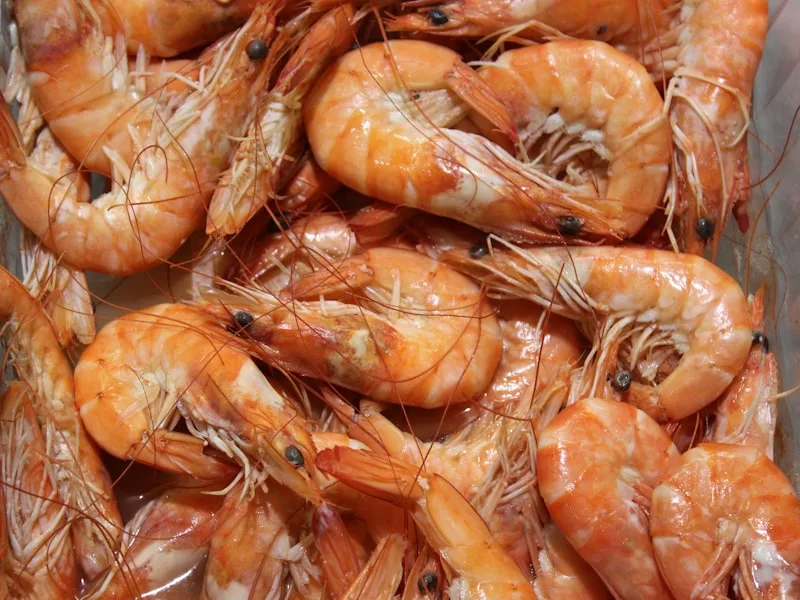 Red Shrimp — frozen seafood